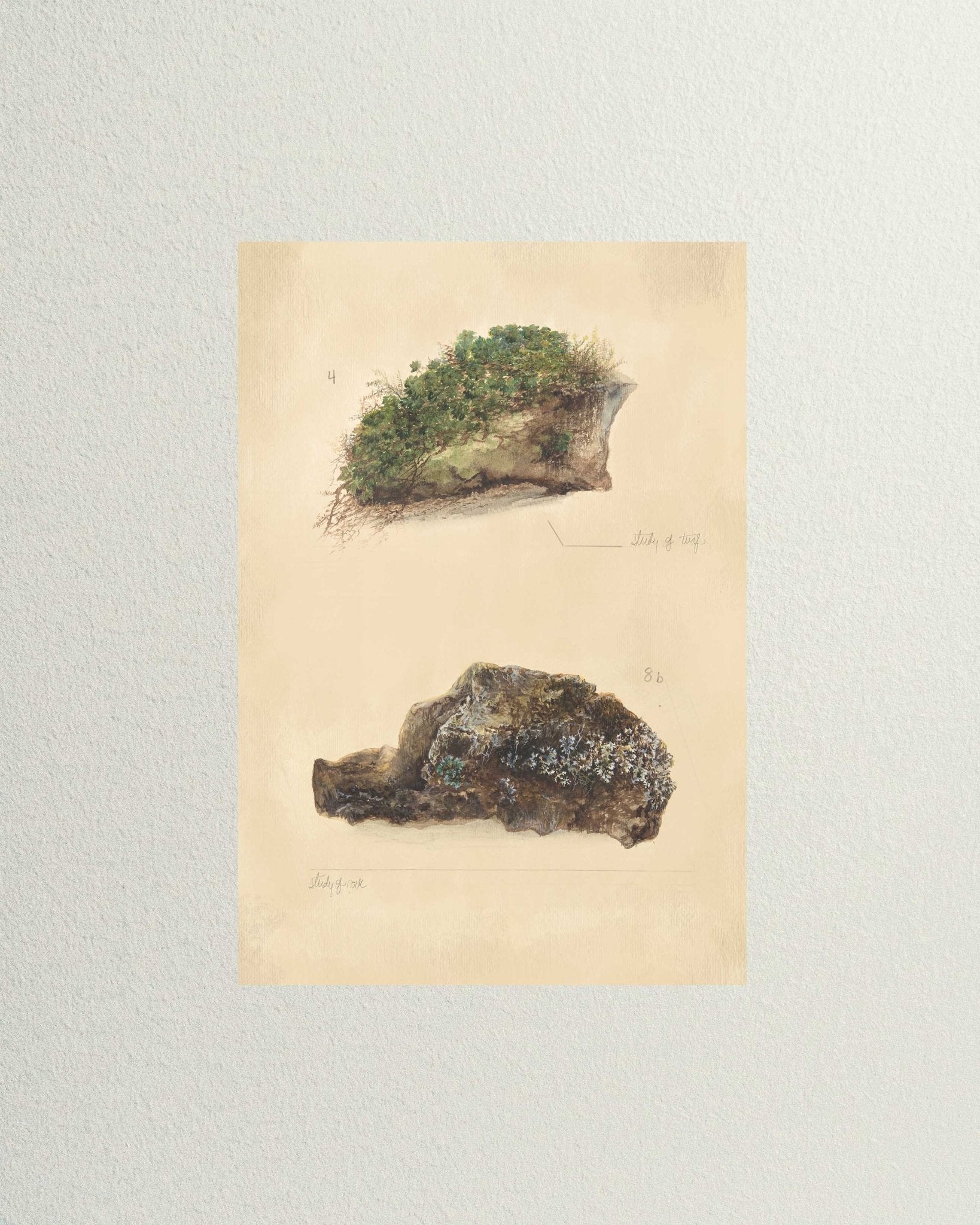 dark academia digital art gallery wall - The Sorry Girls